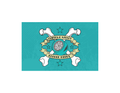 Team Flag - Chippewa Valley